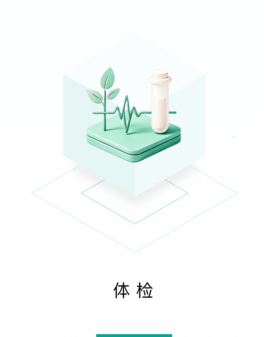 体检